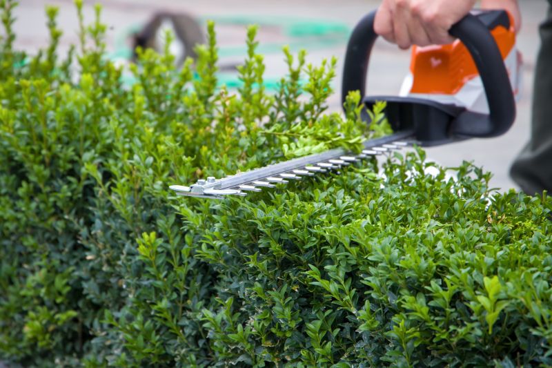 Shrub Trimming Service