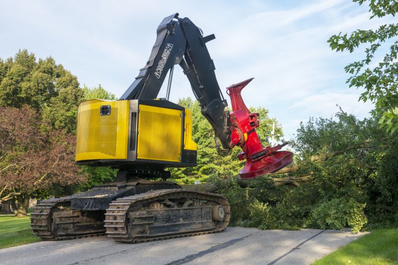 Commercial Tree Service in Reno, NV